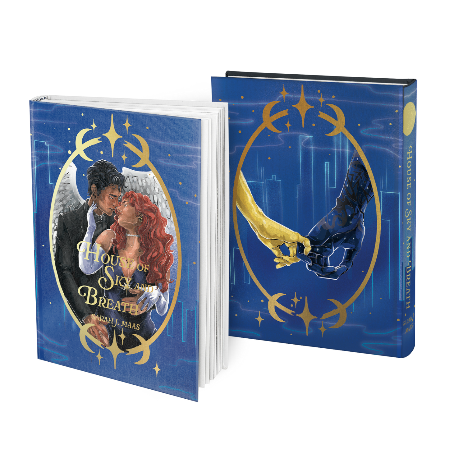 Crescent City Dust Jacket Set - Physical (Pre-Order)